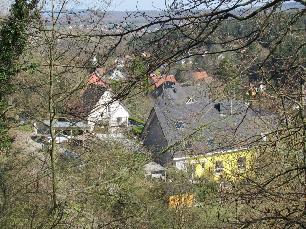 Le Clos D'Aure. Oberhaslach Eksteriør bilde