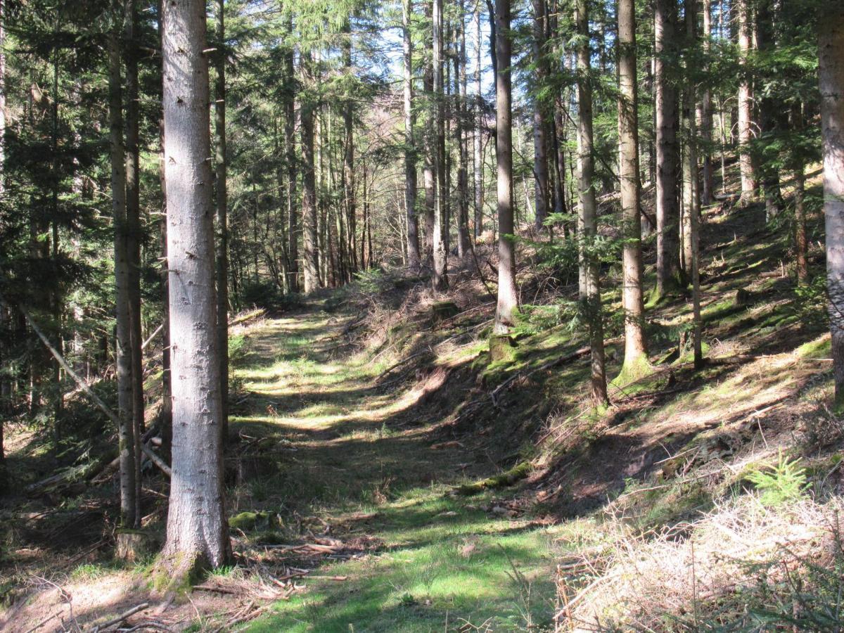 Le Clos D'Aure. Oberhaslach Eksteriør bilde