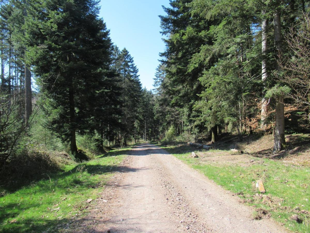 Le Clos D'Aure. Oberhaslach Eksteriør bilde