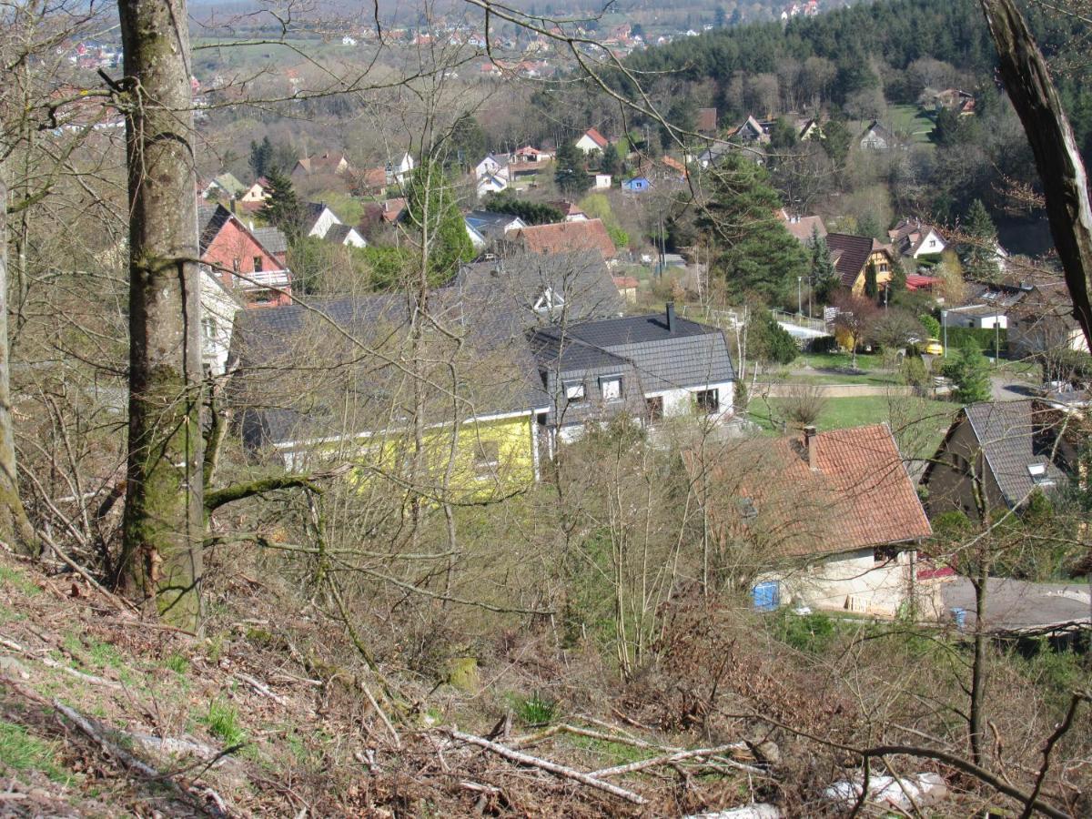 Le Clos D'Aure. Oberhaslach Eksteriør bilde