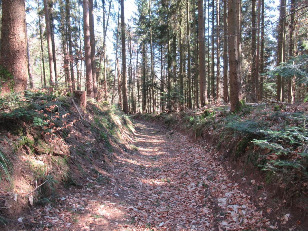 Le Clos D'Aure. Oberhaslach Eksteriør bilde